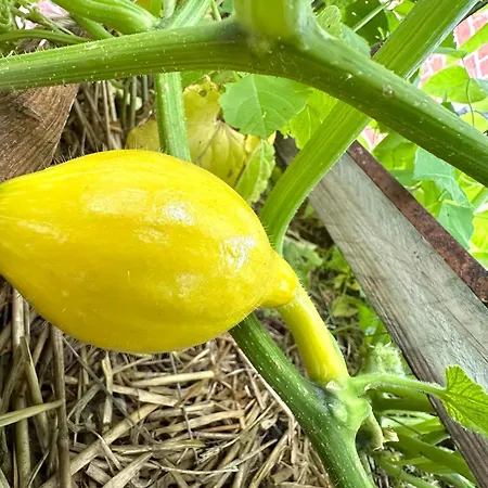 Horst 4 Ocker Apartment Kalkhorst