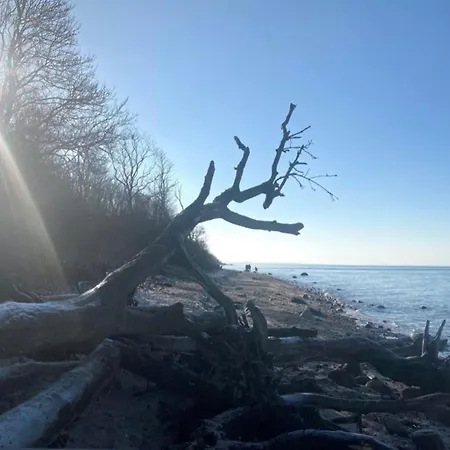 Apartment Horst 4 Ocker